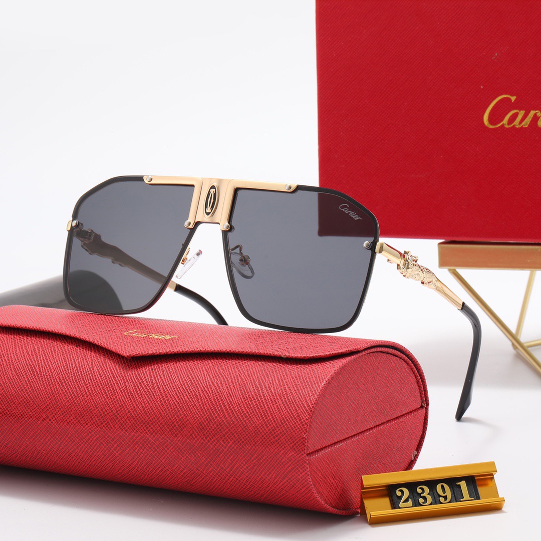 Cartier sunglasses-C5901S